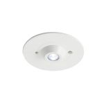 Ansell LED Luce d'emergenza Raven spazio pubblico Bianca 3W 128lm 43D - 865 Luce del Giorno | 110mm - IP65 - Emergenza 3H - Autotest