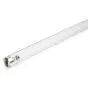 Philips T8 UV - C 75W - Ultravioletto | 120cm